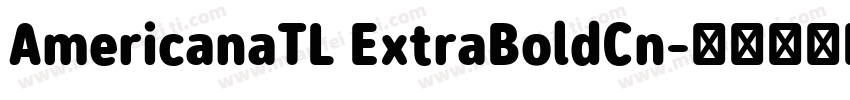 AmericanaTL ExtraBoldCn字体转换